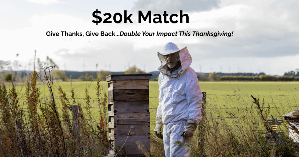 Bee's and Beekeepers are the unsung heroes of your Thanksgiving meal...Give thanks. Give back.