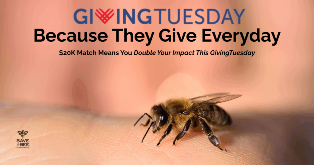 The Bee...The Beekeeper, Giving Everyday