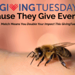 The Bee...The Beekeeper, Giving Everyday