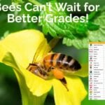 Where does your favorite store stack up?