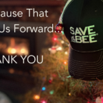 The Pause that Carries Us Forward