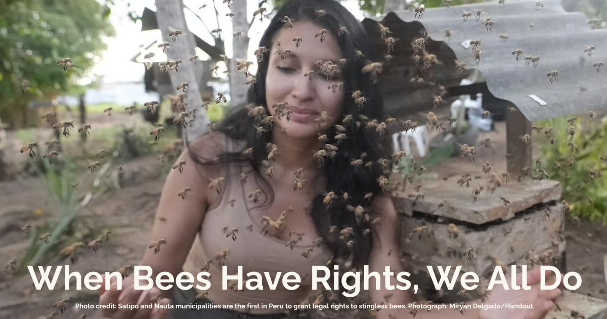 Support Bee Rights When Bees Have Rights, We All Do | Save the Bee