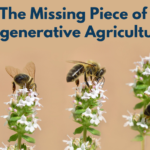 Pollinators are crucial to regenerative agriculture.
