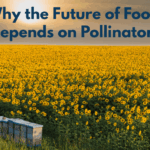 Pollination supports 70-80% of our ag.
