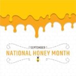 Vector illustration of national honey month poster design
