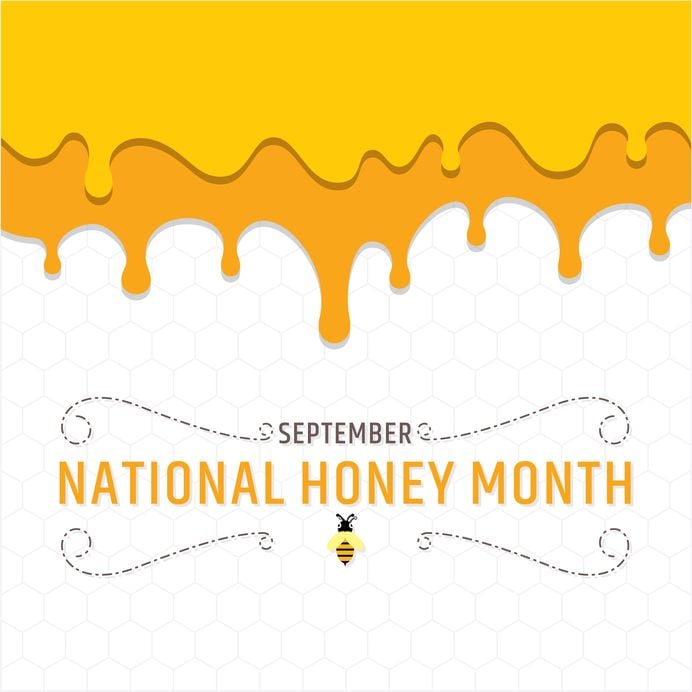 Vector illustration of national honey month poster design