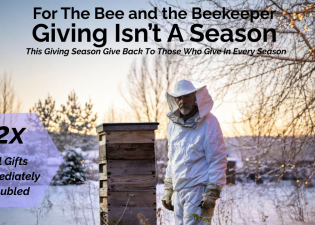 a winter beekeeper with over wintering bee hive