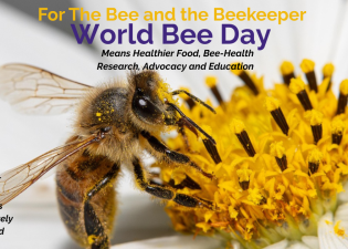 Celebrate World Bee Day with a donation to Save the Bee!