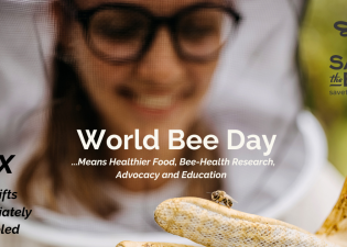 World Bee Day - A beekeeper with a bee