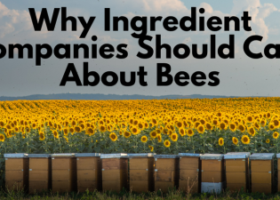 Why Ingredient Companies Should Care About Bees