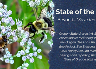 Copy of New Campaign Page Header (744 x 400 px) (1200 x 630 px)
